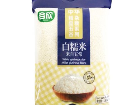 GuXin White Glutinous Rice Supply