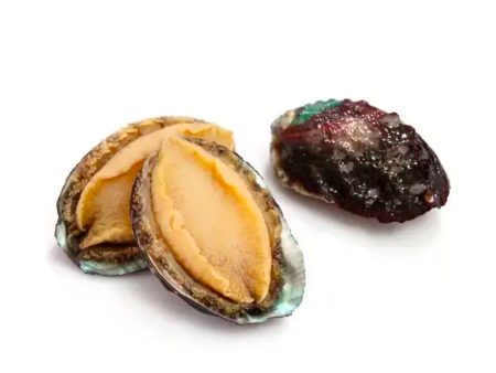 Frozen Abalone (L) Sale