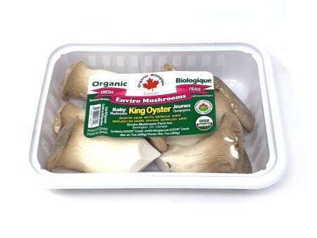 Organic Baby King Oyster Mushroom Online Sale