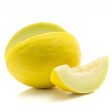 FRESH MELON CANARY Online Hot Sale