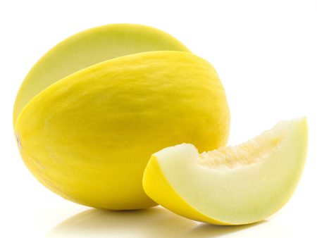 FRESH MELON CANARY Online Hot Sale