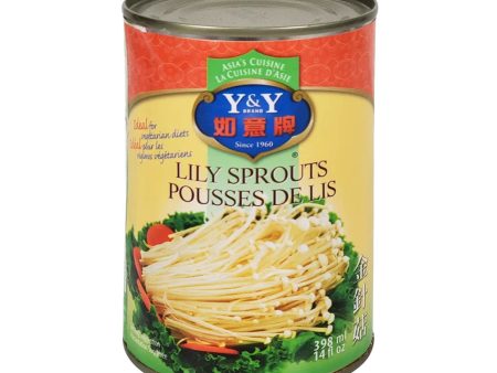 Y&Y Lily Sprouts Online Hot Sale