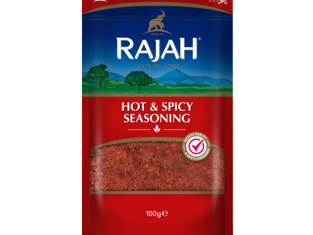 RAJAH HOT & SPICY SEASONING 100G Hot on Sale