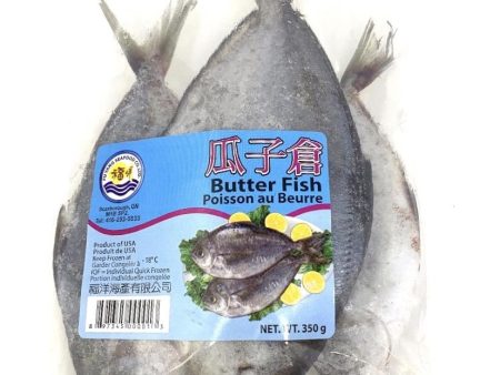 FUYANG Butter Fish Online Sale