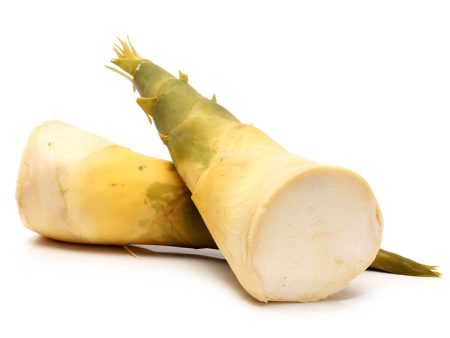 Bamboo Shoots Hot on Sale