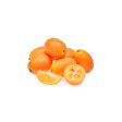 Kumquat Sale