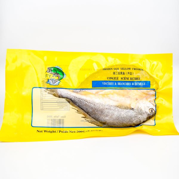 FY GGS YELLOW CROAKER Online Hot Sale