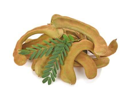 FRESH THAI YOUNG TAMARIND - APPROX 100G - Dispatched Wednesday Thursday Hot on Sale