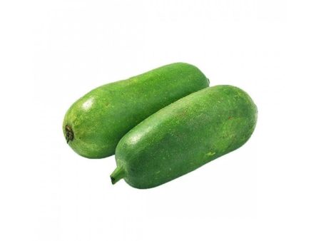 FUZZY SQUASH Hot on Sale