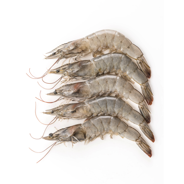 AQUAHAWK 13 15 HEAD ON SHELL ON PRAWNS 1KG on Sale