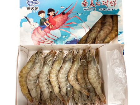 White Shrimp(head on)40 50 For Discount