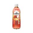 POKKA HALAL ICE LYCHEE TEA 500ML Cheap