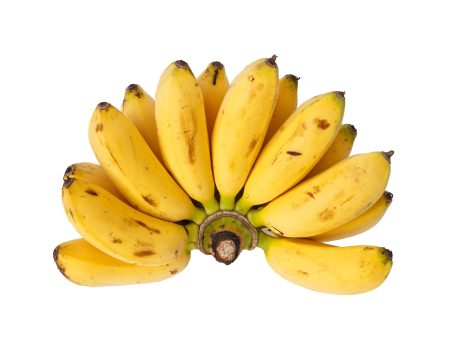 BABY NINO BANANAS Online Sale