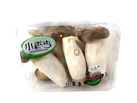 KING OYSTER MUSHROOMS Discount