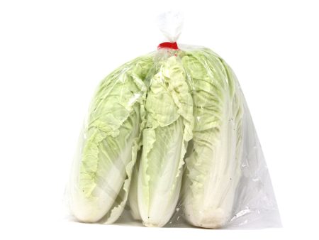 TAIWAN BOK CHOY Discount