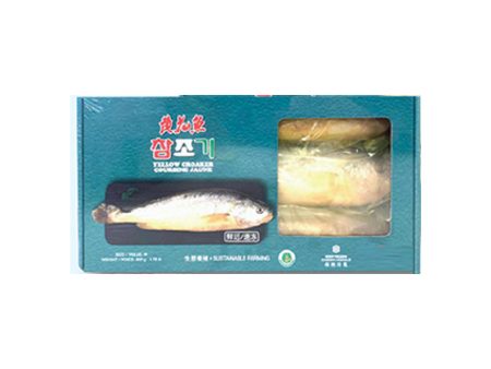 Huayang Yellow Croaker Online Sale