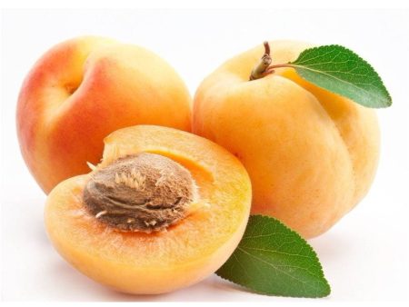 Fresh Apricots Sale