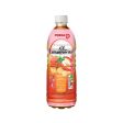 POKKA HALAL STRAWBERRY TEA 500ML For Cheap