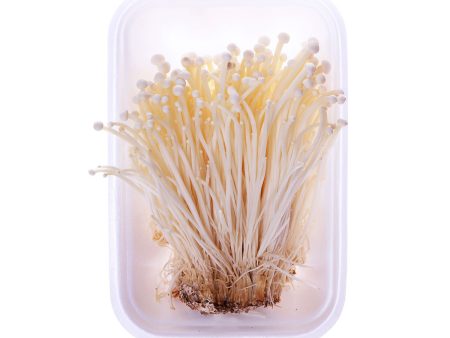 Organic Enoki Mushrooms For Discount