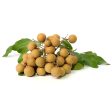 LONGAN For Cheap