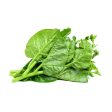 MALABAR SPINACH Online