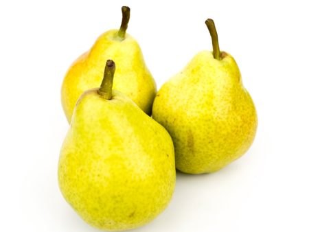 CONCORDE PEARS For Sale