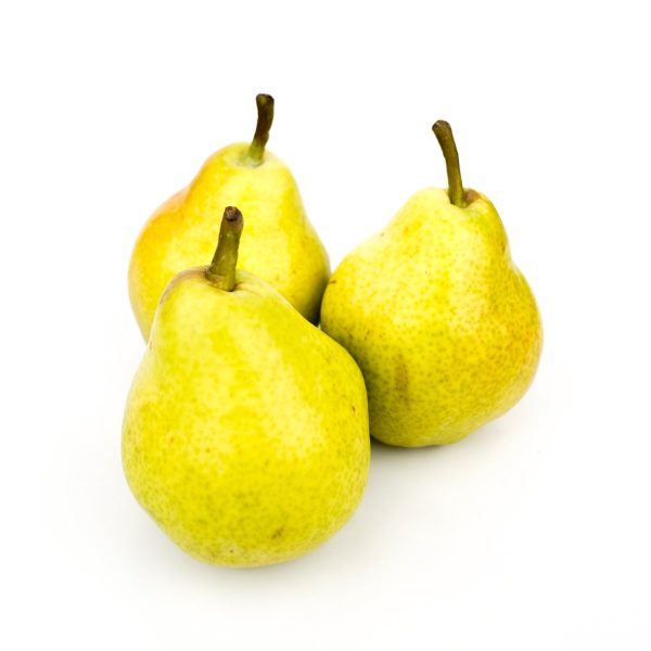 CONCORDE PEARS For Sale