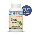 GINKGO BILOBA For Sale