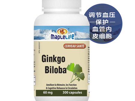 GINKGO BILOBA For Sale