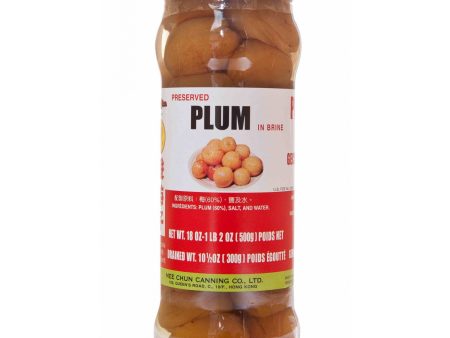 MEE CHUN PRESERVED PLUMS IN BRINE 500G 美珍酸梅子 on Sale