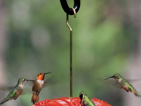 Aspects Inc - Hummzinger Ultra Classic Hummingbird Feeder Online