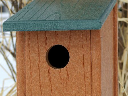 Audubon woodlink - Going Green Bluebird House Online now