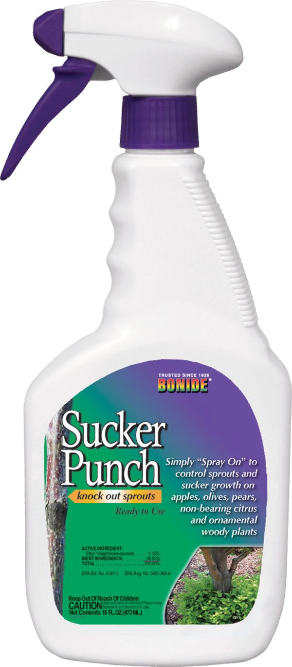 Bonide Products Inc     P - Sucker Punch Knock Out Sprouts Ready To Use Online Sale