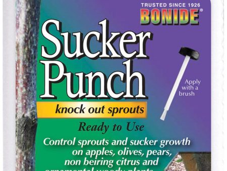 Bonide Products Inc     P - Sucker Punch Knock Out Sprouts Brush Applicator For Cheap